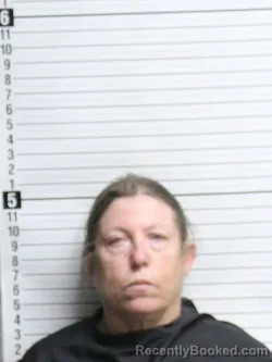 Mugshot of BRENDA KAYE LAWSON