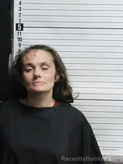 Mugshot of HEATHER MARIE LAFONTAINE booked in Brunswick County, North Carolina on April 24, 2026