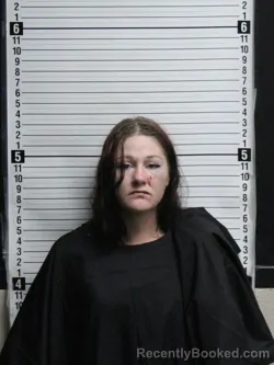 Mugshot of SUMMER ELISA LYSAK booked in Brunswick County, North Carolina on June 10, 2026