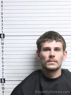 Mugshot of CAMERON THOMAS MCKAY