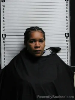 Mugshot of Dyshaunna Eyelee Mitchell booked in Brunswick County, North Carolina on September 10, 2026