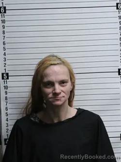 Mugshot of JESSICA ANN MCDANIELS