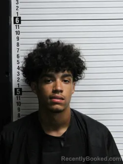 Mugshot of JORDAN MILES MCGRIFF booked in Brunswick County, North Carolina on June 14, 2026