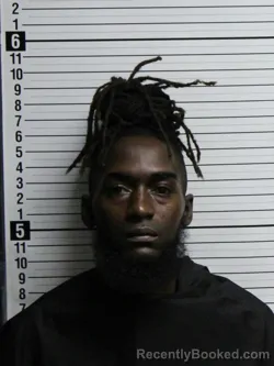 Mugshot of Joshua Tysheem Mckvian booked in Brunswick County, North Carolina on August 6, 2026