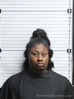 Mugshot of LAKEISHA KEARA MCINTYRE booked in Brunswick County, North Carolina on April 17, 2026