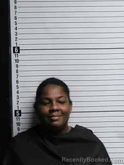 Mugshot of TERRI NICHOLE MITCHELL booked in Brunswick County, North Carolina on June 19, 2026