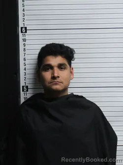 Mugshot of ANDERSON ANTONIO NATARENO-DE LEON