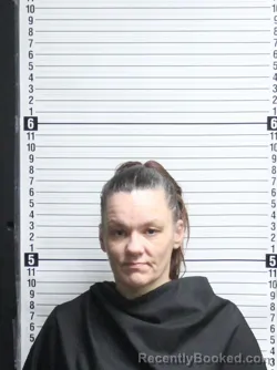 Mugshot of EMILY DAWN NORRIS booked in Brunswick County, North Carolina on April 17, 2026