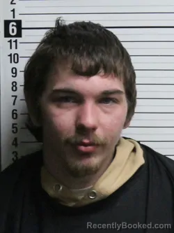 Mugshot of LOGAN RAY NICKEL