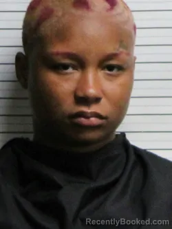 Mugshot of SEDRIA RENE NELSON booked in Brunswick County, North Carolina on June 1, 2026