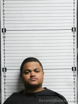 Mugshot of TIJHAM DAWDA NGUM booked in Brunswick County, North Carolina on June 11, 2026