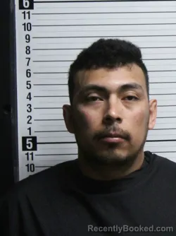 Mugshot of HAMILTON YOEL PICON-GOMEZ