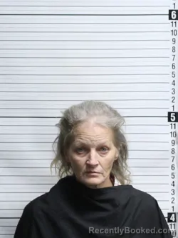 Mugshot of LISA TANNER PRIDGEN booked in Brunswick County, North Carolina on April 10, 2026