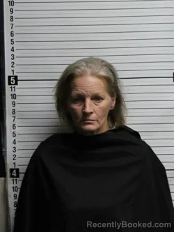Mugshot of Lisa Tanner Pridgen booked in Brunswick County, North Carolina on July 28, 2026
