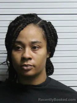 Mugshot of LEYLANIE RENEE ROBERSON