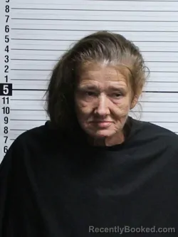 Mugshot of PATRICIA CAROL ROOTH booked in Brunswick County, North Carolina on April 26, 2026