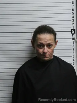 Mugshot of DONNA LYNN STARLING
