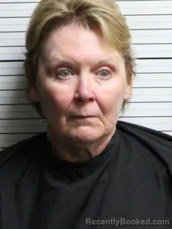 Mugshot of Gwendolyn Robinson Stokes booked in Brunswick County, North Carolina on October 9, 2026