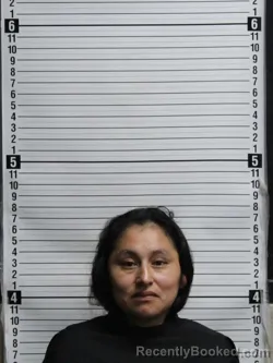 Mugshot of JERONIMA SANCHEZ-GOMEZ