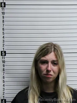Mugshot of JILLIAN ROSE SPIVEY booked in Brunswick County, North Carolina on June 6, 2026