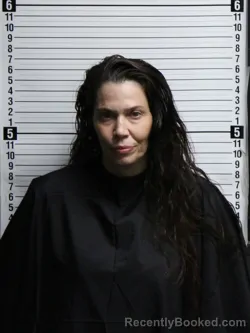 Mugshot of SARA LYNN SELLERS booked in Brunswick County, North Carolina on June 3, 2026