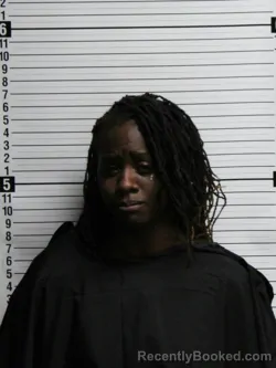 Mugshot of SIERRA NICOLE SATCHELL booked in Brunswick County, North Carolina on July 15, 2026