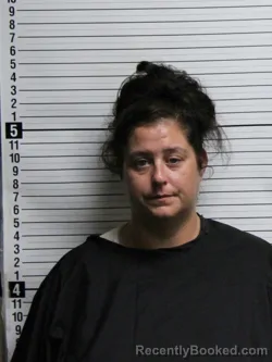 Booking photo from Brunswick County, North Carolina