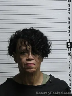 Mugshot of SUSAN SALMONS THOMAS