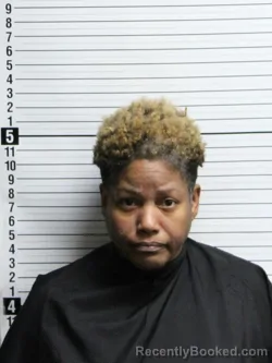 Mugshot of Wendy Jenkins Thomas booked in Brunswick County, North Carolina on July 16, 2026