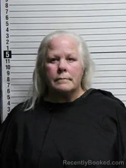 Mugshot of LEE ANN WATLTHERS VONALTEN booked in Brunswick County, North Carolina on June 14, 2026