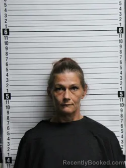 Mugshot of BRITTANY NICOLE WATSON booked in Brunswick County, North Carolina on June 22, 2026
