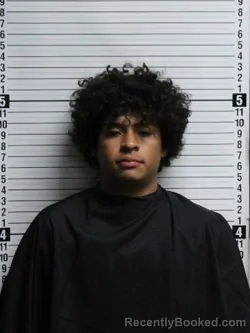 Mugshot of CURTIS LEROY WILLIAMS