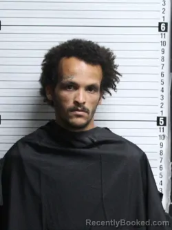 Mugshot of DEANDRE TREVON WILLIAMS booked in Brunswick County, North Carolina on April 30, 2026