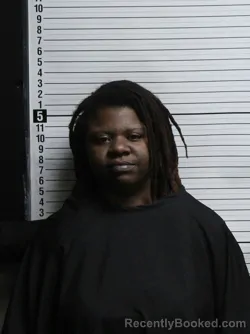 Mugshot of ELIZABETH ASHLEY WILLIAMS