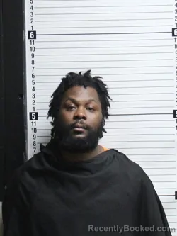 Mugshot of LONNIE LEE WILLIAMS