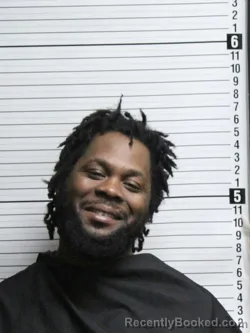 Mugshot of LONNIE LEE WILLIAMS