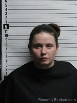 Mugshot of MEAGAN DENISE WILKINS