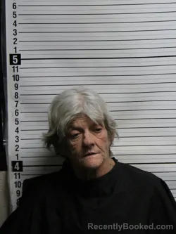 Mugshot of Sharon Lynne Williams booked in Brunswick County, North Carolina on September 12, 2026