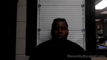 Mugshot of TAKEYA MONEY WILLIAMS booked in Brunswick County, North Carolina on April 8, 2026