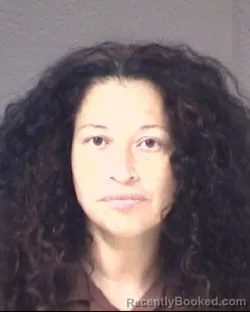 Mugshot of ANNESSA JANE BOYD booked in Buncombe County, North Carolina on July 14, 2026