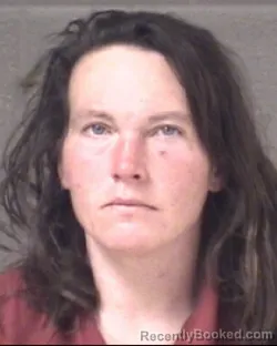 Mugshot of ANNE MARGARET BOLLINGER