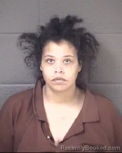 Mugshot of ASHLEY NICOLE R BURTON