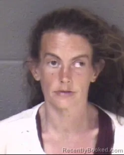 Mugshot of ASHLEY NICHOLE BAILEY booked in Buncombe County, North Carolina on April 1, 2026