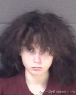Booking photo from Buncombe County, North Carolina