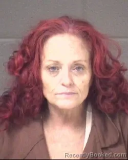 Mugshot of ANGELIA GAIL FRADY booked in Buncombe County, North Carolina on March 28, 2026