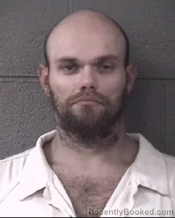 Mugshot of ANTHONY DAMIAN LAFALCE