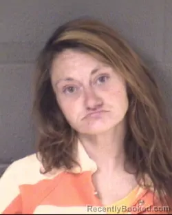 Mugshot of ANGELINA MARIE POTTER booked in Buncombe County, North Carolina on May 29, 2026