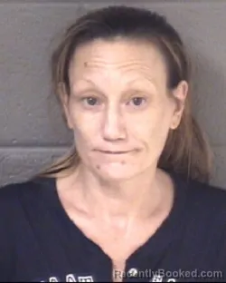 Mugshot of ASHLEY RENEE PAINTER booked in Buncombe County, North Carolina on May 8, 2026