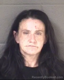 Mugshot of Amanda Fay Ray booked in Buncombe County, North Carolina on August 23, 2026