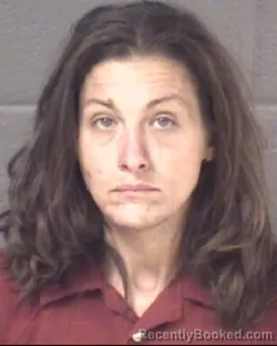 Mugshot of AMY JO WADDELL